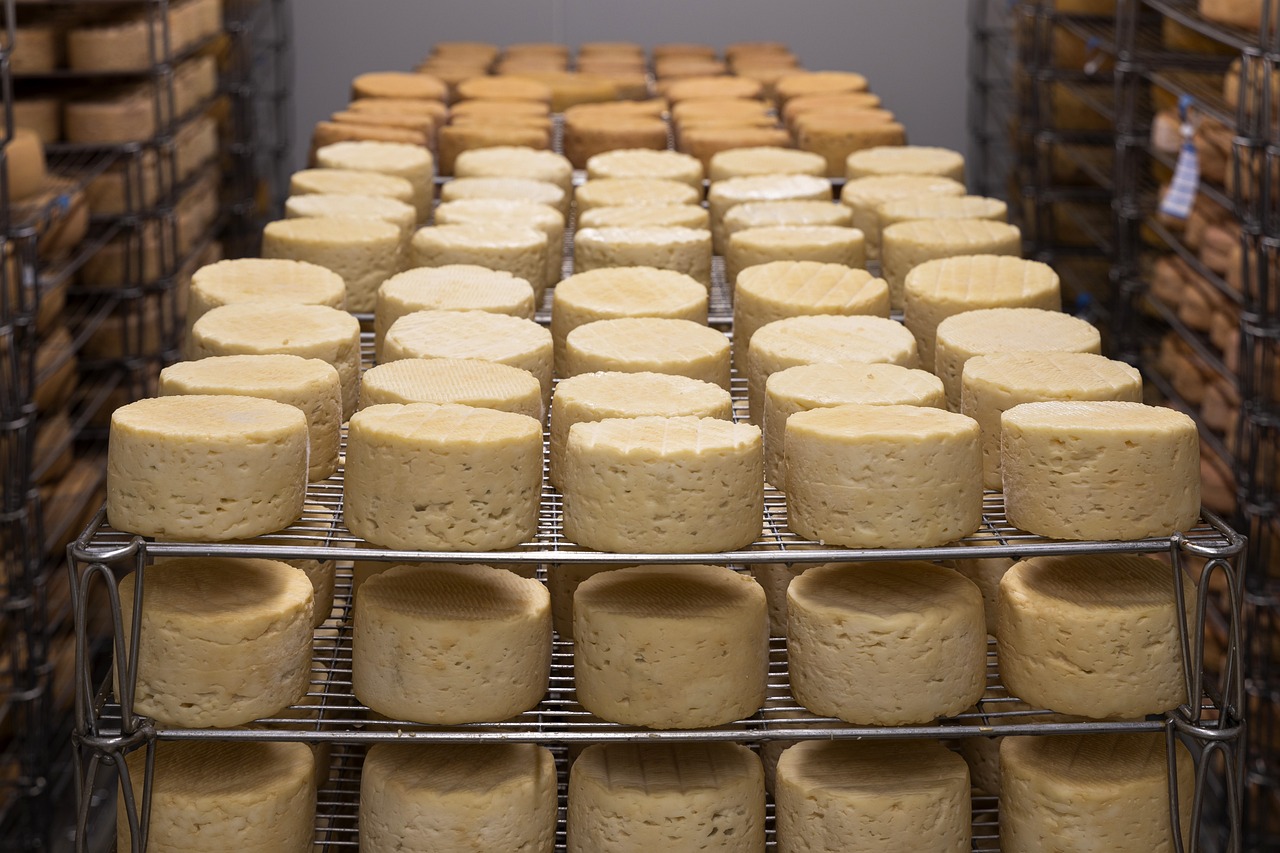 Fromages & Vins